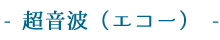 超音波(エコー)