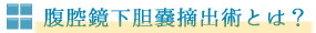 腹腔鏡下胆嚢摘出術とは？